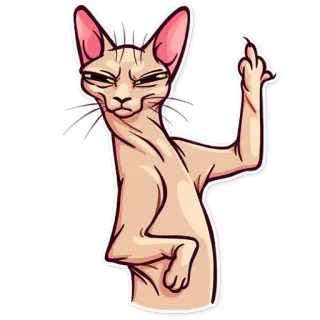 🖕 cat, middle finger, offensive, sphynx cat, rude, cartoon telegram sticker