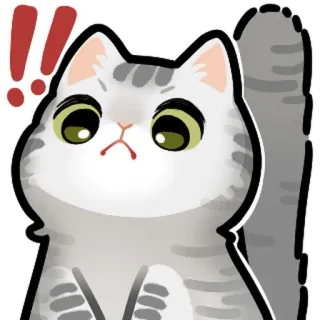 😳 cat telegram sticker