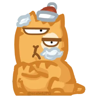 👁 cat, cartoon, sticker, orange telegram sticker