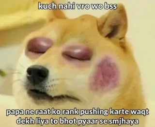 🌟 Doge Doge Meme kuch nahi vro wo bss papa ne raat ko rank pushing karte waqt dekh liya to bhot pyaar se smjhaya doge, meme, beaten, gaming, funny, father, discipline telegram sticker