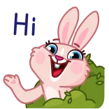 👋 bunny, rabbit, cute, animal, cartoon whatsapp sticker
