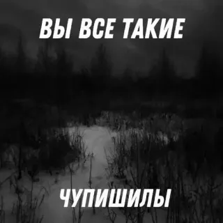 ☺️ ВЫ ВСЕ ТАКИЕ
ЧУПИШИЛЫ ruso, texto, frase, insulto telegram sticker