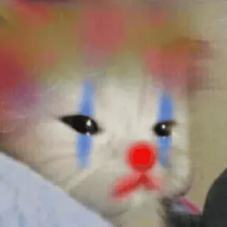 🤡 gato, payaso, triste, meme, gracioso, lindo, animal whatsapp sticker