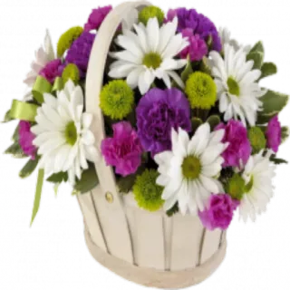 💐 цветы, корзина, цветочная композиция, ромашки, гвоздики whatsapp sticker
