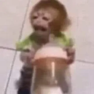 🙈 monkey, baby, animal, cute, bottle telegram sticker