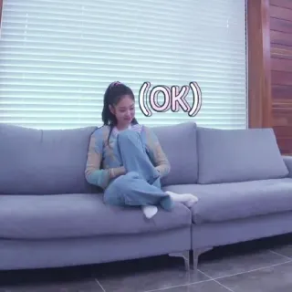 🥟 (OK) ok, acordo, aprovação whatsapp sticker