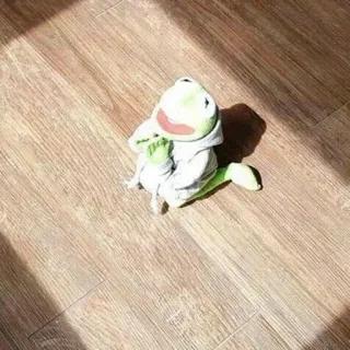 🙏 Kermit the Frog 科米蛙, 木偶, 青蛙, 布偶, 卡通 telegram sticker