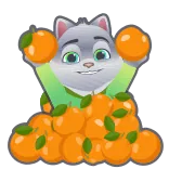 🍊