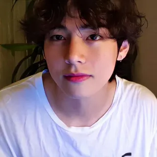 🐯 V BTS kpop, penyanyi, korea, idola, selebriti, pria, artis telegram sticker