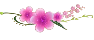 🙄 flower, pink, blossom, floral, nature, plant, cherry blossom whatsapp sticker