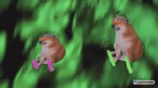 🌐 Doge, Pies, Mem, Tańczący, Śmieszne, Mem internetowy telegram sticker