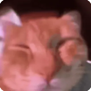 😩