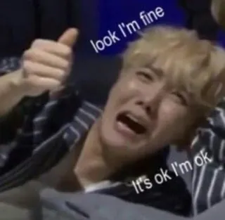 👍 look I'm fine
It's ok I'm ok Meme, weinen, Daumen hoch, emotional, lustig, selbstironisch, Ausdruck telegram sticker