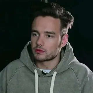 🌈 Liam Payne prominenter, sänger, mann, porträt, hoodie telegram sticker