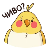 🤔 птица, корелла, жёлтый, животное, милый, наклейка telegram sticker
