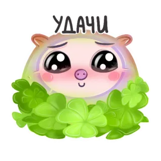 🤞 УДАЧИ suerte, trébol, buena suerte, cerdo, lindo, pegatina, dibujos animados whatsapp sticker