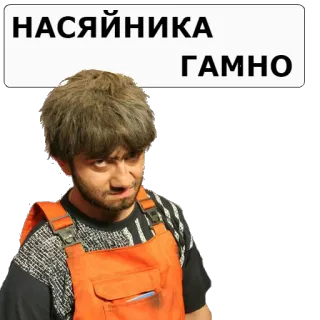 😠 НАСЯЙНИКА 
ГАМНО оскорбительный, русский, оскорбление, текст, мем telegram sticker