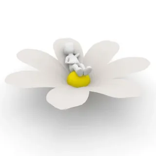 🌷 flower, relaxation, peace, lazy, dream telegram sticker