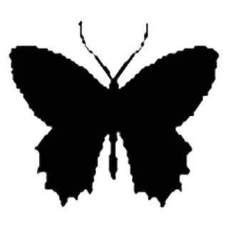 🦋