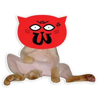 😠 Katze, Tier, Sticker, süß, lustig, Cartoon telegram sticker