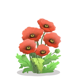 🪸 bloemen, klaprozen, rode bloemen, boeket, natuur telegram sticker
