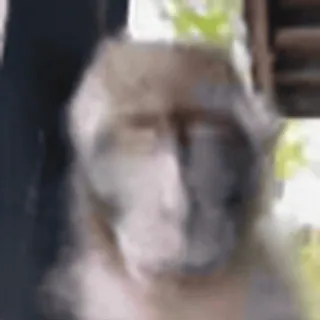 🤩