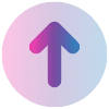 🟣