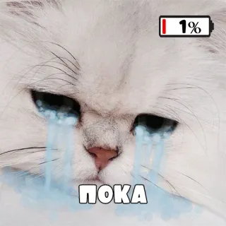 🔋 ПОКА кот, низкий заряд, грустный, плачущий, пока telegram sticker