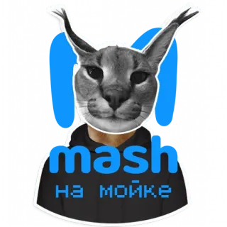 😻 mash
НА МОЙКЕ floppa, kot, mem, rosyjski, naklejka telegram sticker