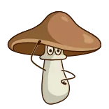 Animated Contest #15 (@TgSticker) telegram stickers