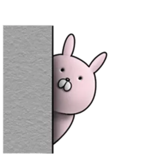 😟 conejo, mirar, lindo, animal, conejo whatsapp sticker