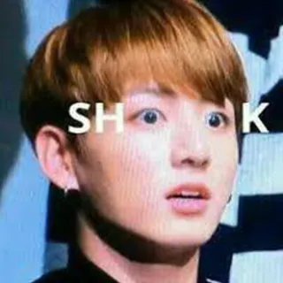 😵 SHK telegram sticker