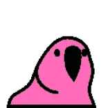 🦜 vogel, papegaai, roze, dier, schattig, sticker telegram sticker