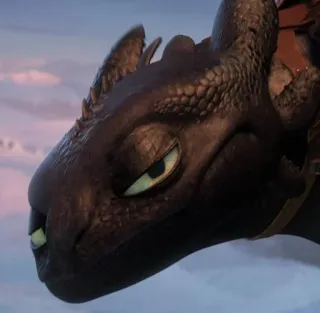 🌟 Toothless How to Train Your Dragon dragón, dragón negro, Chimuelo, dibujos animados, animal, fantasía telegram sticker