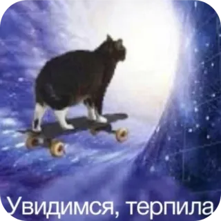🖼 Увидимся, терпила chat, skate, espace, drôle, mème telegram sticker