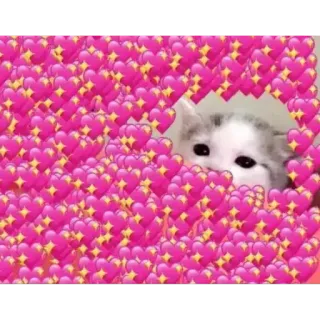 🥰 chat, coeur, amour, mignon, animal, mème telegram sticker