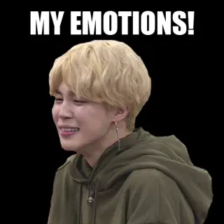 😭 MY EMOTIONS! emocje, płacz, smutny, mem telegram sticker
