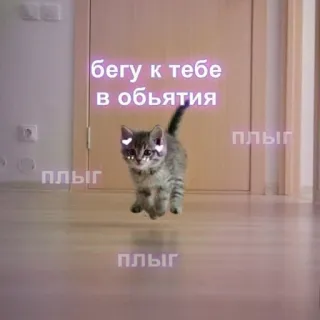 💗 бегу к тебе в объятия
плыг แมว, ลูกแมว, วิ่ง, ตาเป็นรูปหัวใจ, น่ารัก, สัตว์เลี้ยง, สัตว์ whatsapp sticker