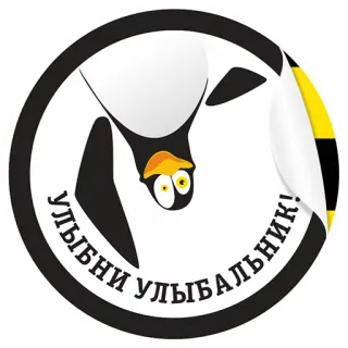 😁 УЛЫБНИ УЛЫБАЛЬНИК! pinguin, aufkleber, russischer text, lustig, humor whatsapp sticker