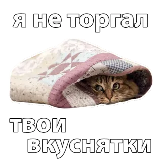 👀 Я не торгал
Твои вкуснятки cat, blanket, cute, animal, funny whatsapp sticker