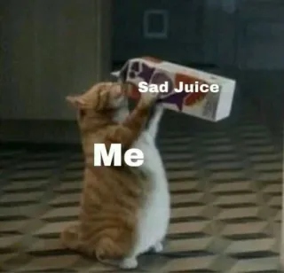🍬 Sad Juice cat, sad, juice, meme, animal whatsapp sticker