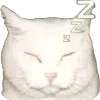 💤