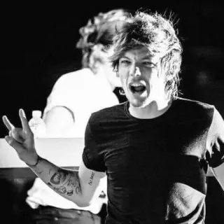 😠 Louis Tomlinson chanteur, musique, célébrité, One Direction, pop star telegram sticker