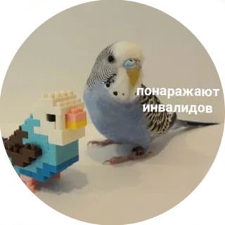 Я орал, меня ловили whatsapp stickers