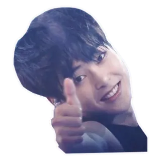 👍 pulgar arriba, retrato, positivo, gesto, aprobación, persona whatsapp sticker