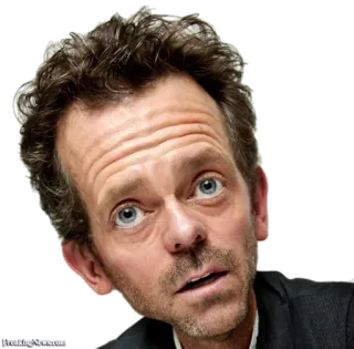 👁 House House, M.D. BREAKINGNEWS.COM Доктор Хаус, Хью Лори, медицинская драма, телевидение, актер telegram sticker