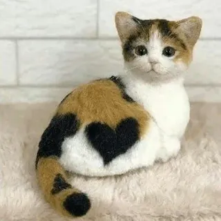 😺 chat, calico, coeur, animal, animal de compagnie, chaton, mignon, poilu telegram sticker