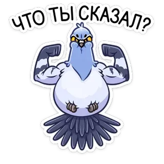 🤨 ЧТО ТЫ СКАЗАЛ? pájaro, paloma, fuerte, músculos, divertido, dibujos animados, enojado telegram sticker