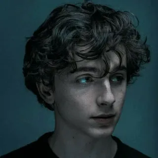 😕 Timothée Chalamet ทิโมธี ชาลาเมต์, นักแสดง, คนดัง, ภาพเหมือน telegram sticker