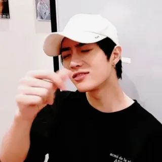 🐻 whatsapp sticker